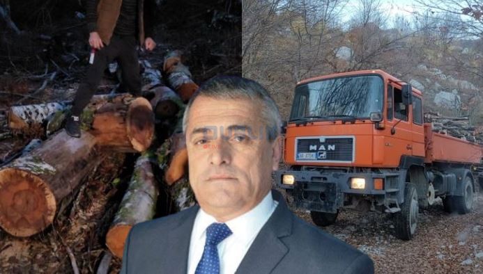 Banorët e fshatit, Byberi i Bashkisë Tropojë: Po na shkatërron pyllin me prerje të paligjshme