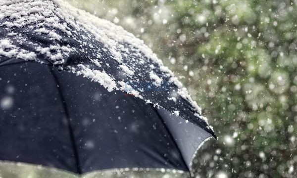 Shi dhe reshje bore, parashikimi i motit javën e ardhshme