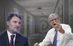Idiotësia e bejlerëve të vegjël të PD