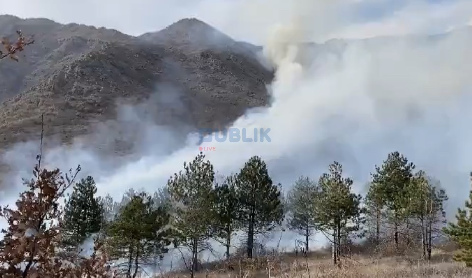 Qindra hektarë pyje e kullota përfshihen nga zjarri në Klos