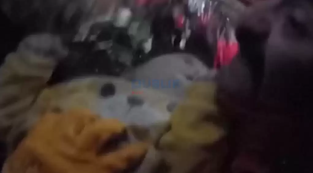 Turqi, vogëlushja shpëtohet pas tre ditësh nën rrënoja (Video)