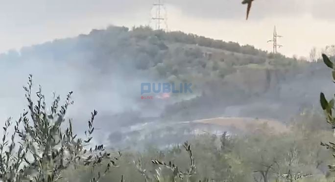 Fier,përfshihet nga zjarri kodra me ullinj