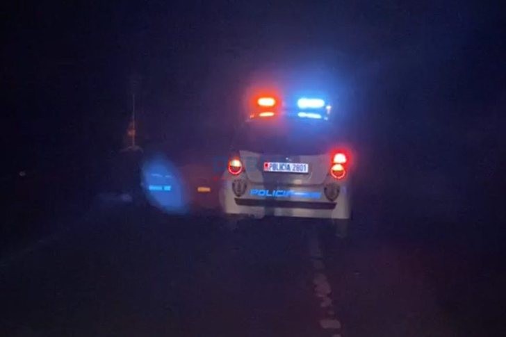 15-vjeçari plagos aksidentalisht me armë nënën e tij në Dibër
