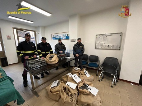 Itali, sekuestrohen 220 kg kokainë, pranga 37-vjeçarit shqiptar