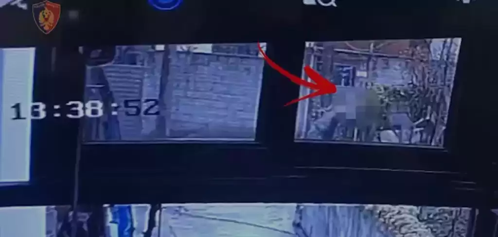 Tiranë/ Vihet në pranga 25-vjeçari për vjedhje vanesash dhe makinash