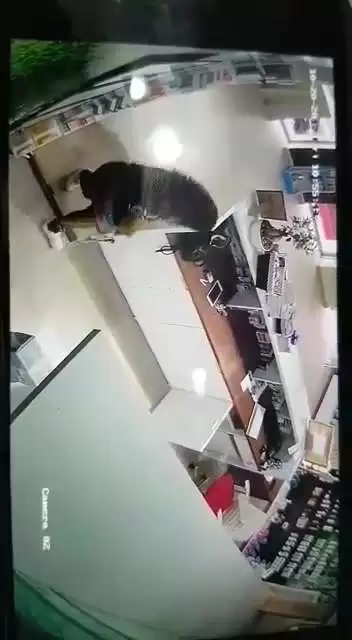 Video/Gazetarja kerkon ndihme ne FB per te identifikuar hajduten