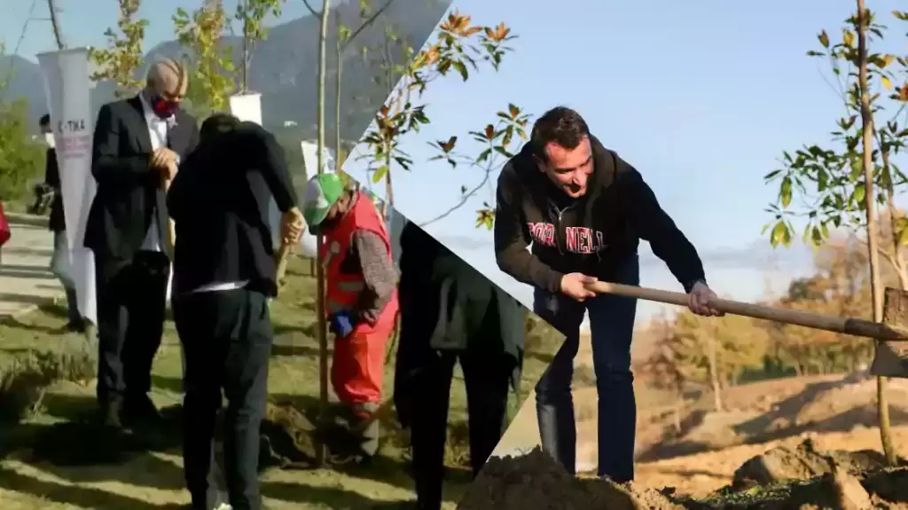 E premtoi Rama mbjelljen e pemëve