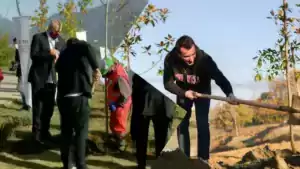 E premtoi Rama mbjelljen e pemëve