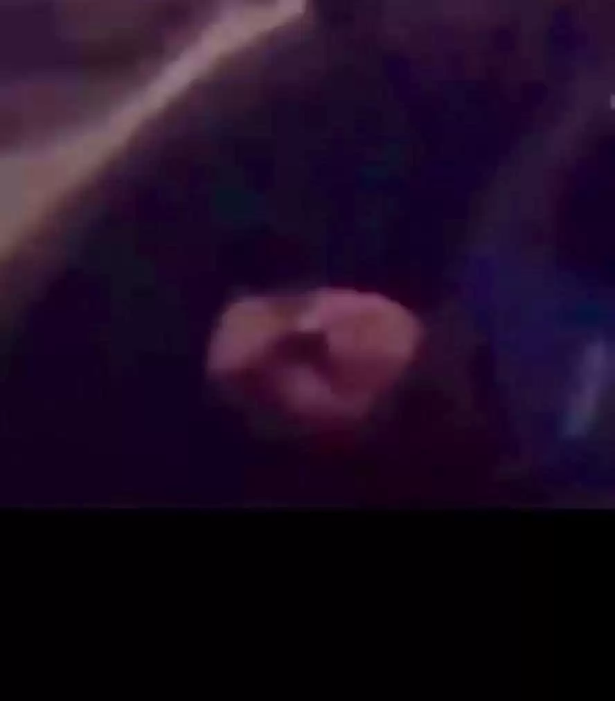 Dalin pamjet, si e ‘respektonin’ policët kushëririn e Vis Martinajt