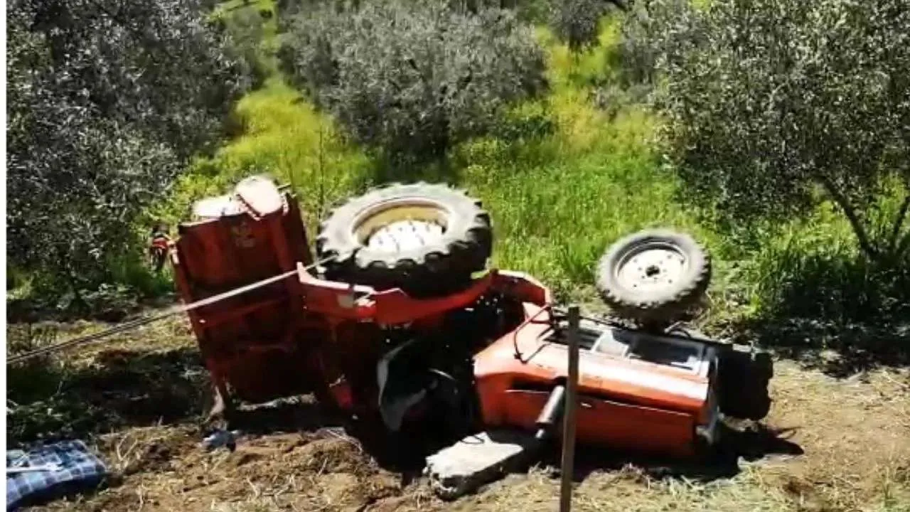 Lushnje/  E zë zetori poshtë, humb jetën duke punuar 55-vjeçari