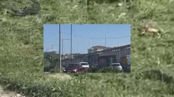U braktis nga nëna mes shkurreve, ja ku u gjet foshnja 2-muajshe në Golem