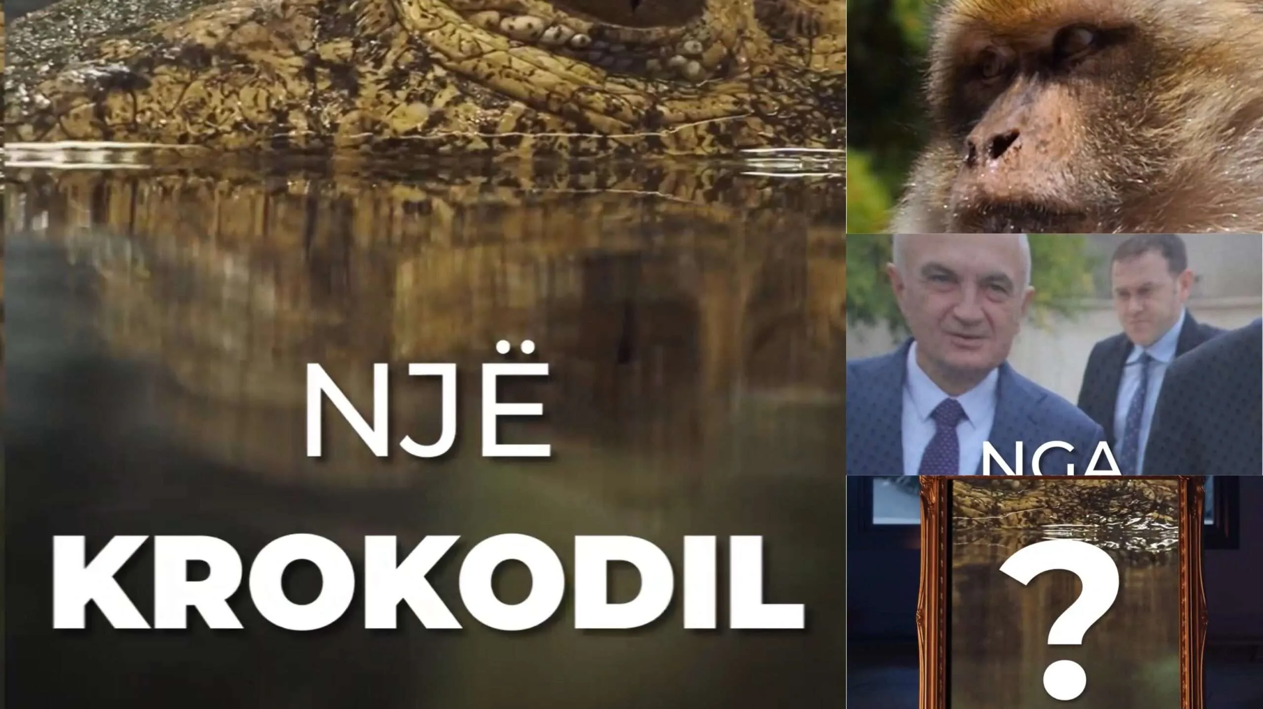 VIDEO/ PS  publikon spotin elektoral: Ku ndryshojnë një krokodil dhe një majmun nga Berisha dhe Meta…?