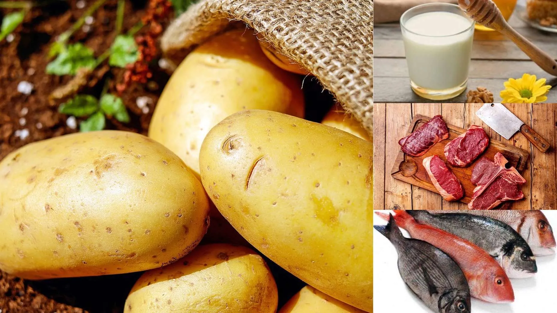 Muaj PRILL shënoi  rritjen me të lartë të  çmimeve të QUMËSHTIT,  MISHIT dhe PATATES
