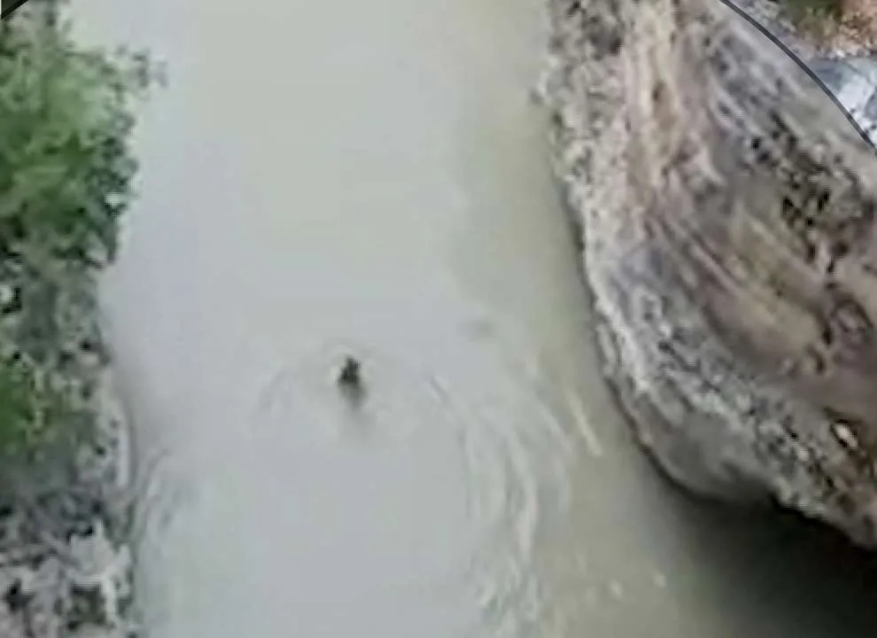 Gjendet pas 3 ditësh trupi i pajetë i turistit holandez në lumin Osum