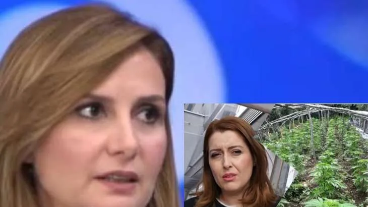 Tabaku flet për projektin e kanabisit: Një hap pas në angazhimet në procesin e integrimit