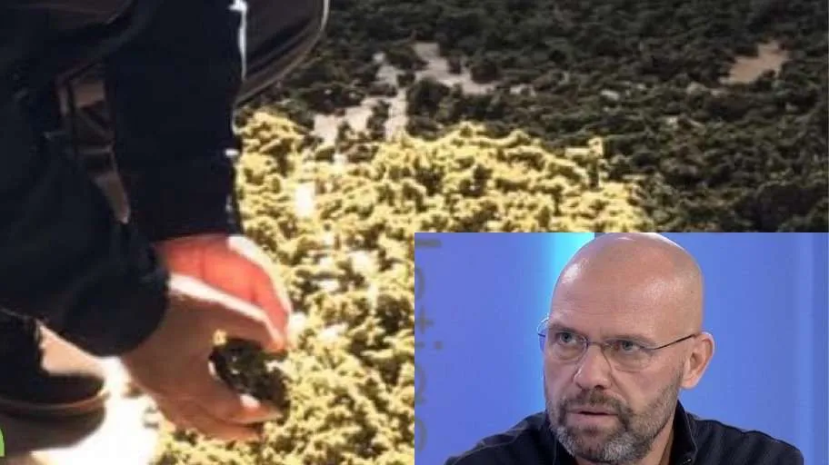 E legalizuat hashashin? Tani kërkojini ndjesë Lazaratit