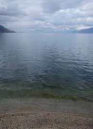Pogradec/ Gjendet pa shenja jete një grua në Liqen