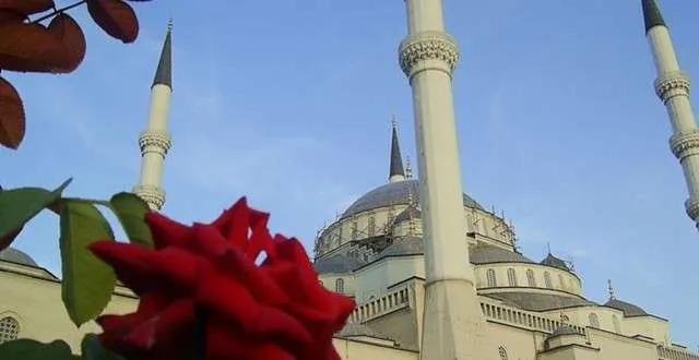 Politikanët  e nisin ditën duke uruar festën e Kurban Bajramit