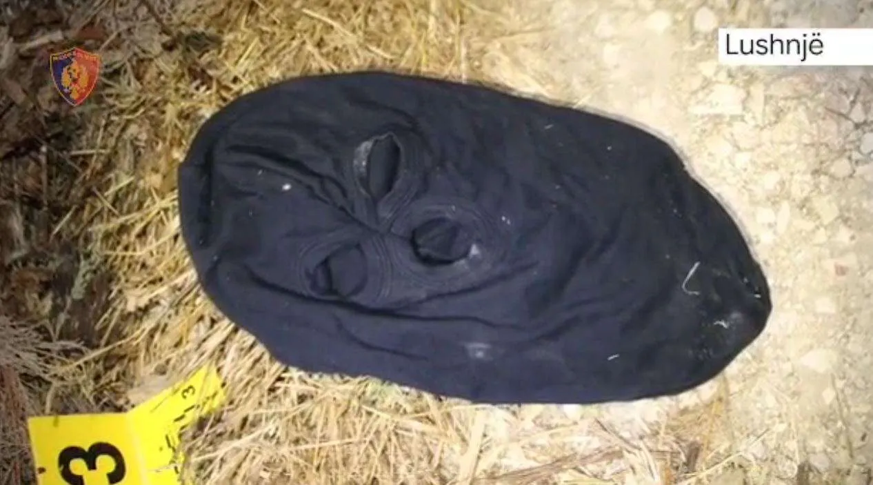Si u kapën në oborrin e banesës hajdutët, çfarë iu gjet në furgon (Emrat)