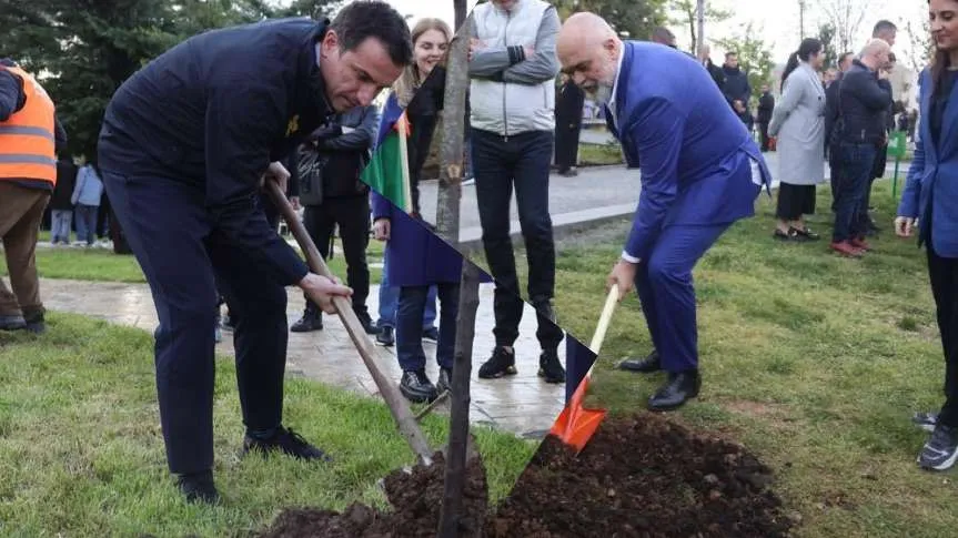Raporti i KLSH: Mjedisi  në Tiranë po degradon me shpejtësi, s’ka më vend as për pemë