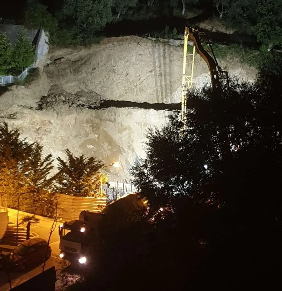Tenderi për pemë dekorative në Pyllin Orbital të Tiranës, Albgarden ankimohet përsëri