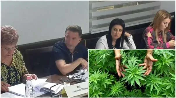 Komisioni i Ekonomisë miraton nen për nen pr.ligjin për kanabisin mjekësor
