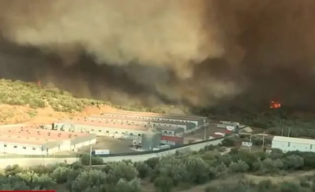 Greqi, zjarre masive nga temperaturat e larta