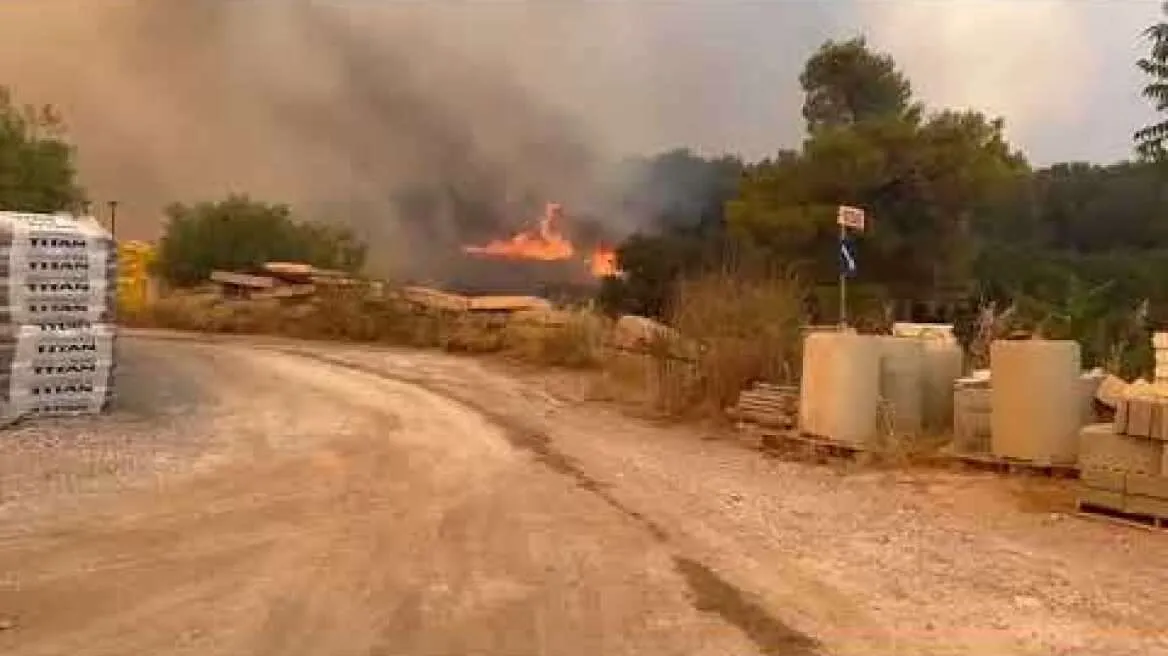 Greqi,shkrumbohen me dhjetëra banesa nga zjarret masive