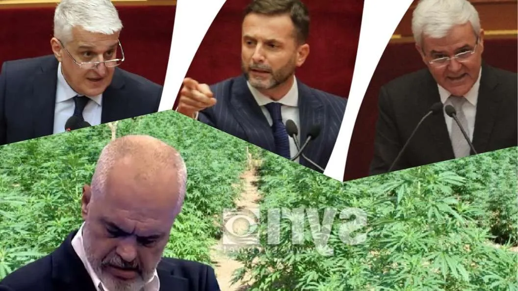 Tre socialistë të vjetër, Xhafa, Majko dhe Braçe abstenuan ligjin e kanabisit