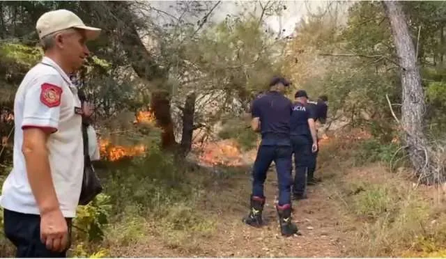 Zona rreth Fierit përfshihet nga flakët masive