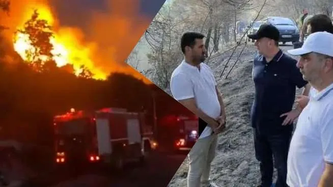 Fier, një person arrestuar si shkaktar i zjarrvënies  në masivin pyjor me pisha të Peshtanit