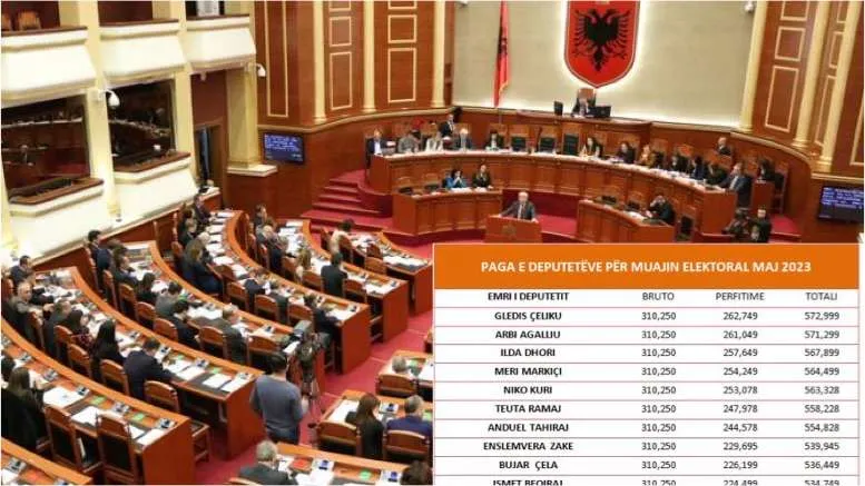Nuk i njeh njeri, nuk flasin ndonjëherë, këta janë deputetët që marrin pagën qyl