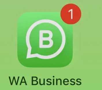 WhatsApp me risi në videomesazhe