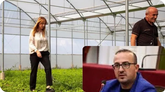 Deputeti demokrat i “telefonon” ministres  Krifca: Në kohën e grurit merresh me vajin dhe në kohën e vajit merresh me grurin