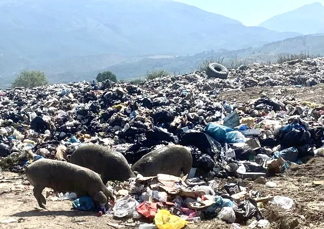 FOTO sa 1000 fjalē! Orikum,  situata skandaloze e plehrave