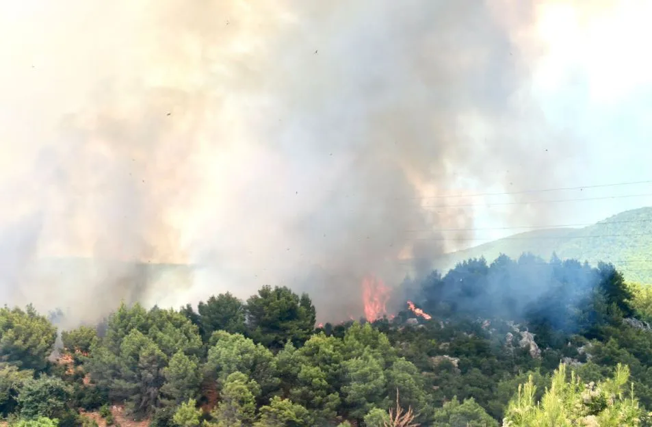 Laç, zjarr  i qëllimshëm, helikopteri dhe zjarrfikëset po mundohen të shuajnë  flakët