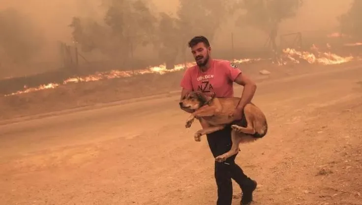 Zjarret e fuqishme në Greqi, BBC flet  për viktima