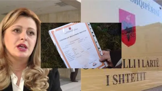 KLSH hetim problemeve të sistemit online në Kadastër