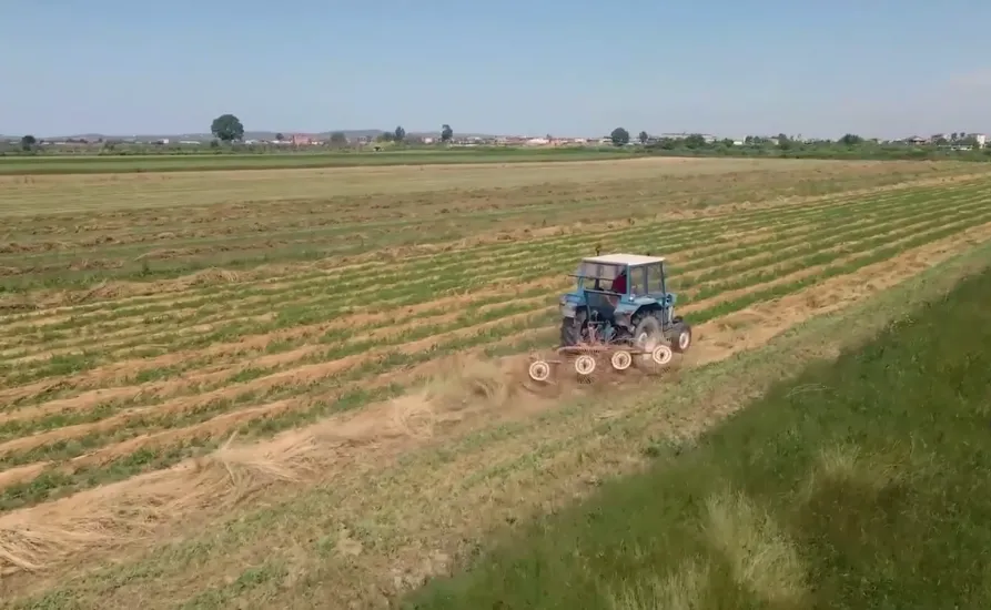 Prodhimi bujqësor rrezikon të hyjë në krizë, fermerët po vuajnë nga abuzimet e çmimeve të inputeve dhe mungesa e fuqisë punëtore!