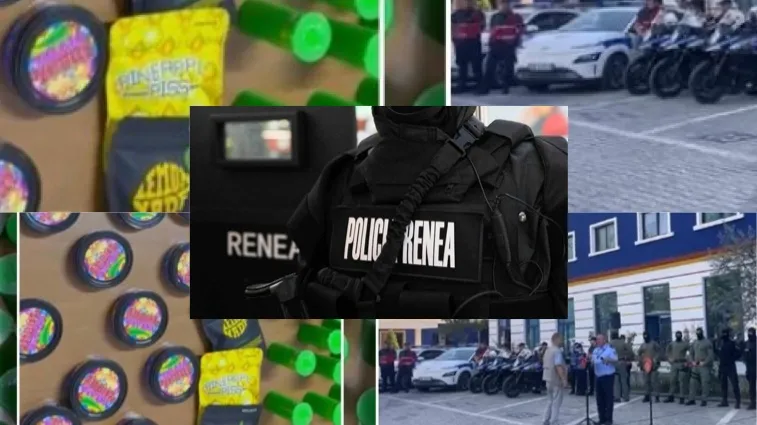 Mbi 200 të arrestuar nga operacioni antidrogë, goditen 23 grupe kriminale në vend