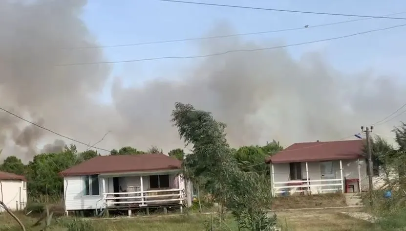 Darëzezë, flakët  e zjarrit rrezikojnë pyllin, mbërrijnë pranë zonës së banuar.