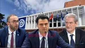 Zbardhet pasuria e Bashës, Berishës dhe Bardhit: nga diamantet, orët dhe vilat, te njësitë tregtare