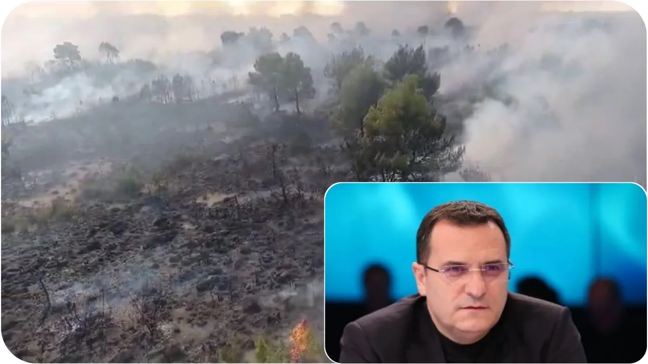 Djegia e Pishë Poros?! Camorra apo Ndragheta, kush do të investojë resort, panele apo…
