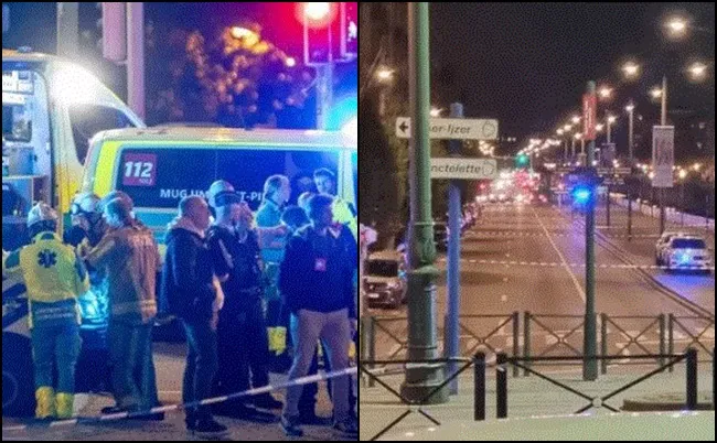 Vrasja e dy tifozëve në Bruksel, Ndërpritet ndeshja Belgjikë-Suedi