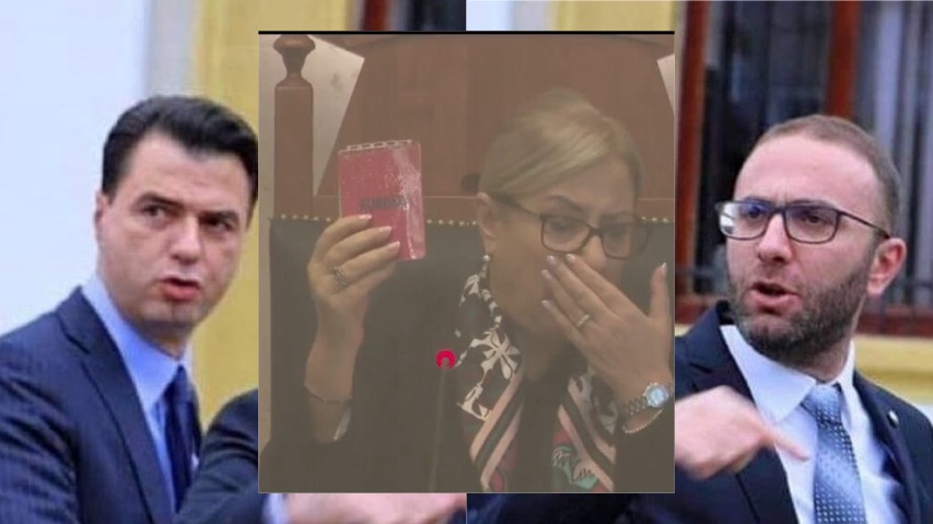 Lindita Nikolla  njeh  Bashën si kryetar  i grupit parlamentar të PD