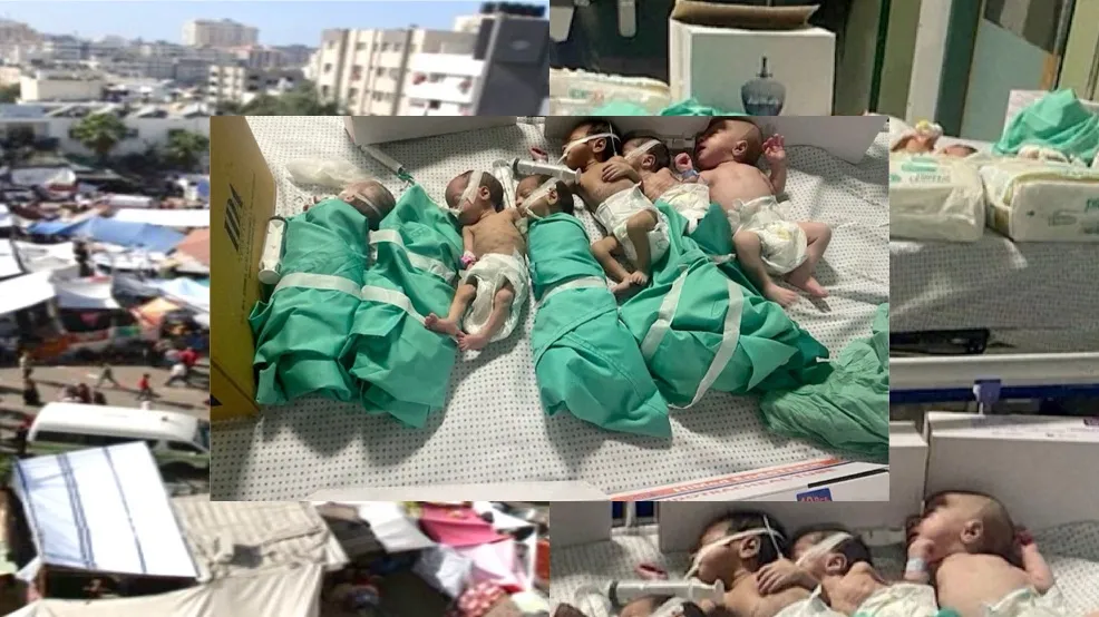 FOTO rënqethëse/  Foshnjat e porsalindura hiqen nga inkubatorët pasi ushtria izrealite shkatërroi spitalin më të madh në  Gaza