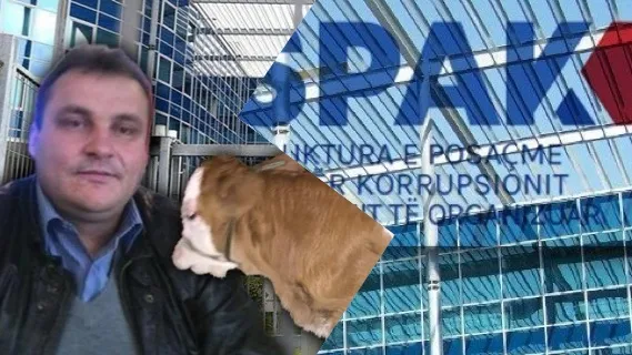 SPAK mbyll hetimet për Inspektorin Çelnik Toska  që mori lekë dhe një viç të therur