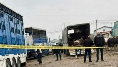 PRIZREN/ Nëntë persona plagosen në tregun e kafshëve nga një granatë që hodhi një person