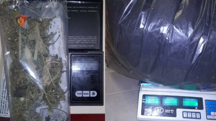 Shkodër/ Ndalohen 3 persona, sekuestrohen 13.8 kg kanabis