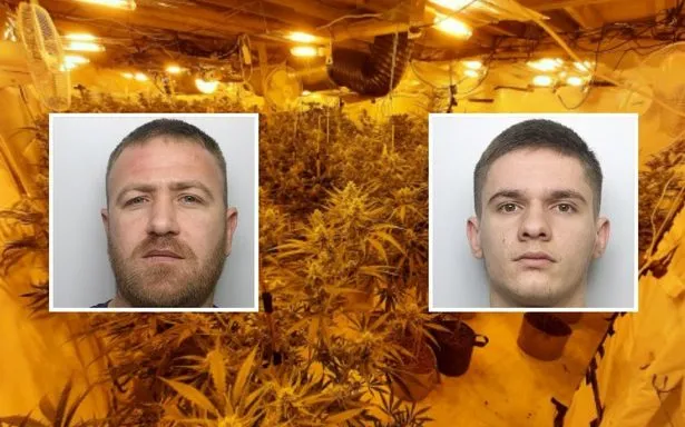 Sa shumë shqiptarë të dënuar në 3 muaj për “Shtëpitë e barit” në Britani